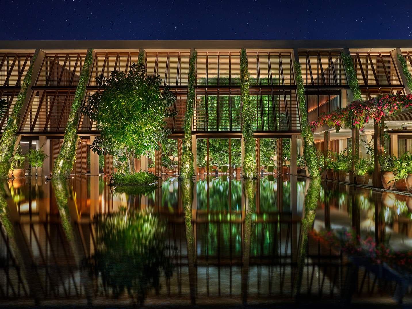 Bamboo Light Screens