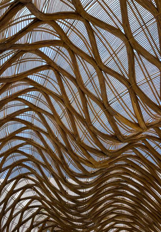 Cenote-Inspired Pool